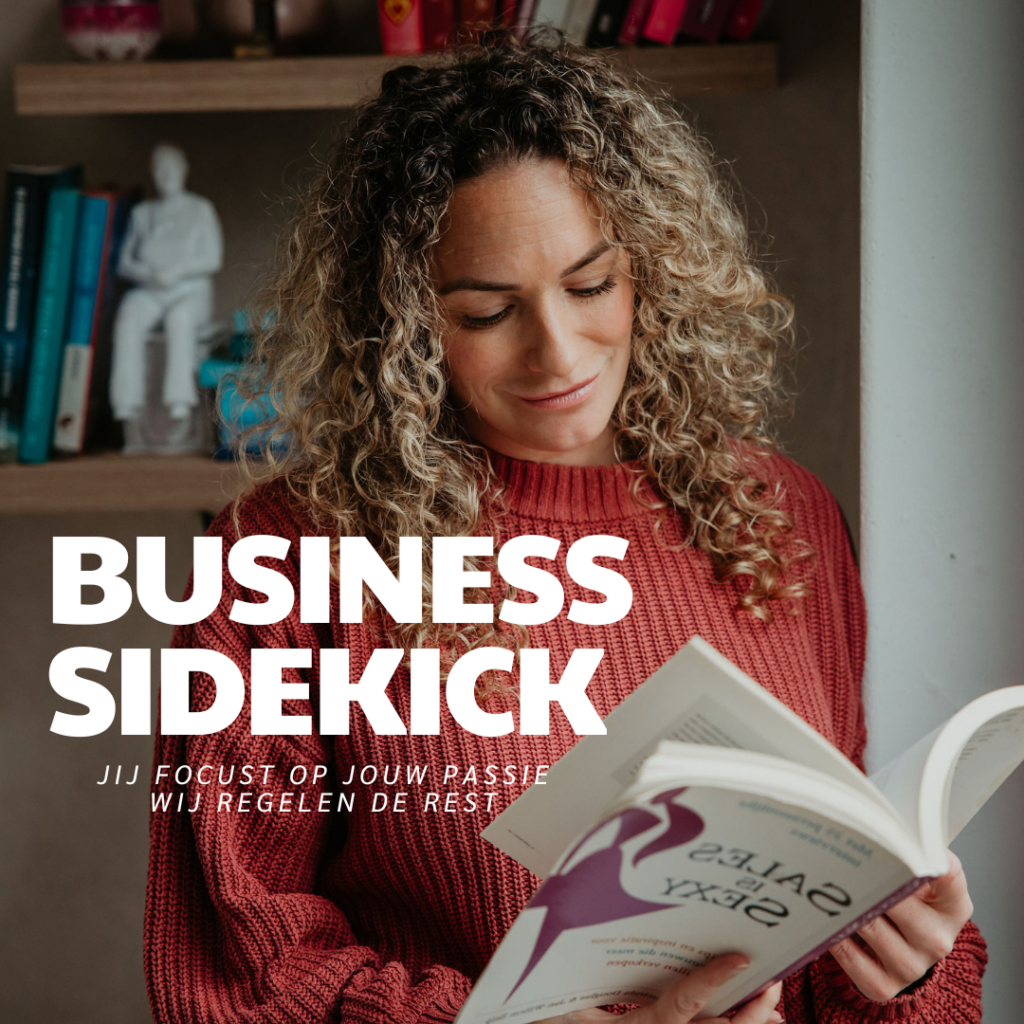 Business Sidekick Virtual Assistant